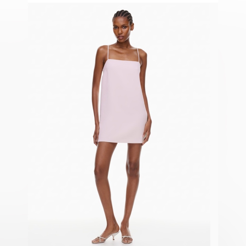 Aritzia Renewal Dress